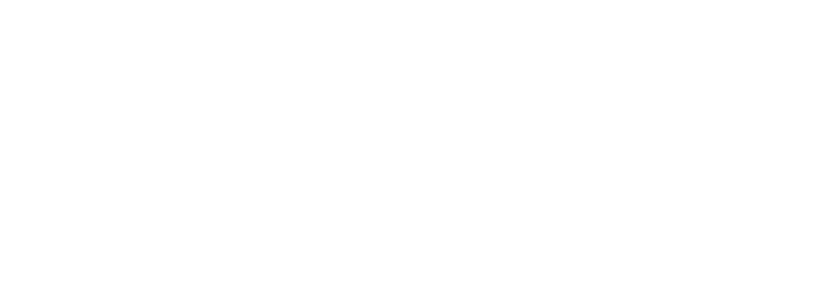 Logo Kia blanc
